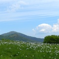 17 maggio - Gita al Pian della Cavalla
