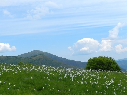17 maggio - Gita al Pian della Cavalla