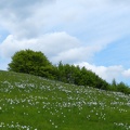 17 maggio - Gita al Pian della Cavalla