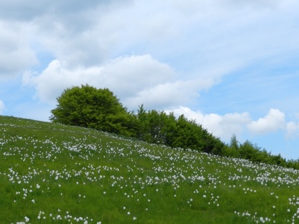 17 maggio - Gita al Pian della Cavalla