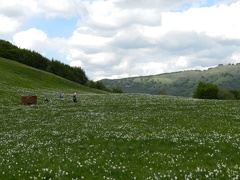 17 maggio - Gita al Pian della Cavalla