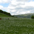 17 maggio - Gita al Pian della Cavalla