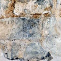 Particolare