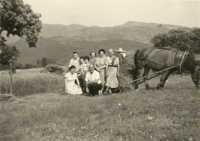 Gruppo sul monte