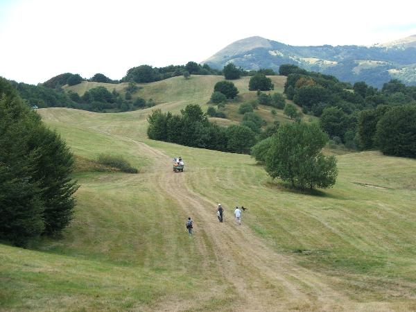 andrea_20090519_1832472062.jpg