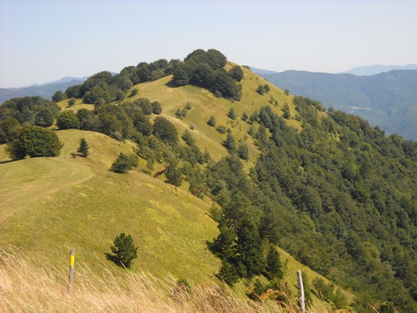 sul_monte_della_cavalla_4_20110909_1532134852.jpg