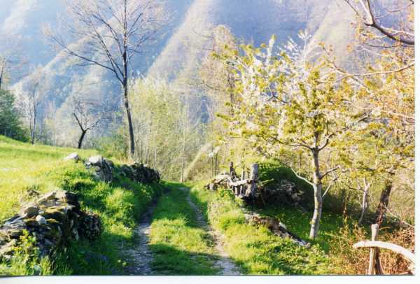 paese_e_paesaggio_20090517_1996903788.jpg