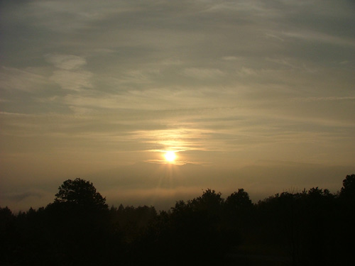 fontanarossa_20090518_1904132387.jpg