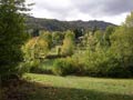 Il Campo